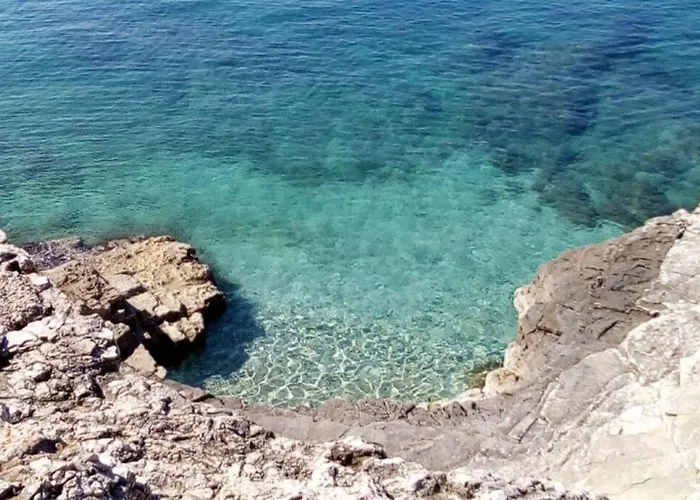 Appartement Happy Days *